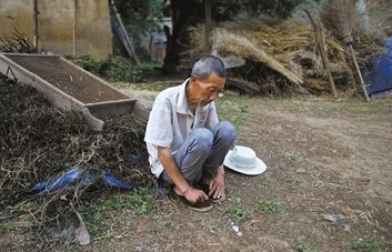 ���Ӱ��Y��������h�L(zh��ng)��