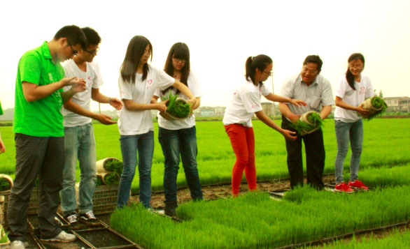 ��ꎎ����WԺ���Gɫ���ۡ����`�־Ը����ˮ�����g�M���w�ʽ������