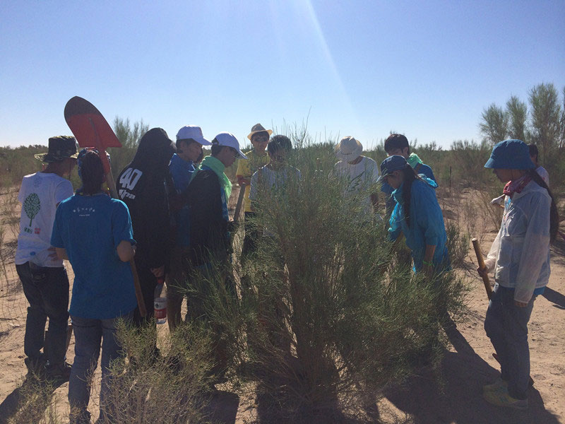 ������Ҫ��һ���ļ��ɺͽ�(j��ng)򞣬ͬ�W���_ʼ������һƬ�����ַ��ز����^�m(x��)�����[�ص�����