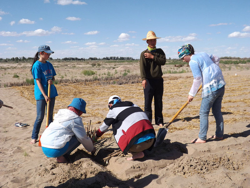 �@�N1.5��Ҋ�������ݸ�������ɳЧ����������^4��5���͕�(hu��)�L(f��ng)�g��������Ҫ�����a(b��)����