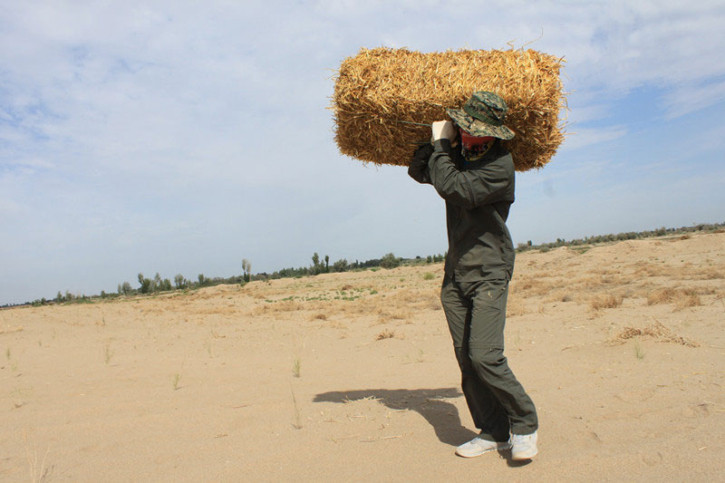 �F(tu��n)�T���i�������ݣ����ϳ����������������؟(z��)����