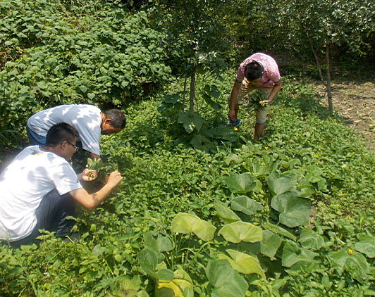 �ڶ������(du��)�T���_ʼ�������B(t��i)�r(n��ng)���w�(y��n)�r(n��ng)��������������ժ����