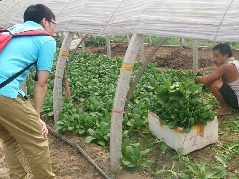 ���`꠆T�c��?sh��)��r(n��ng)��e�O��ͨ������������}���˽��߲˴�������P��r��