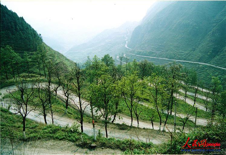 ��¡��24���ա�֮������ꐁ���?j��n)zӰ��