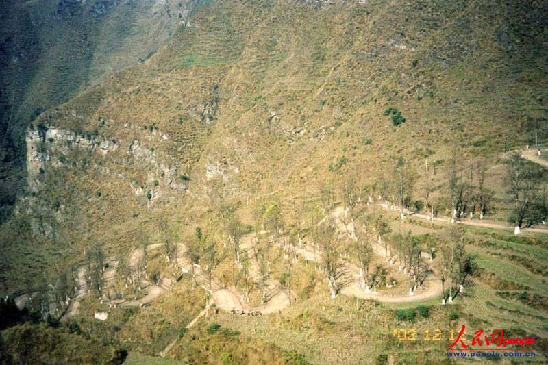 ��¡��24���ա�֮������ꐁ���?j��n)zӰ�� 