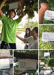 �K���r�WԺ�OӋУ�@ֲ����Ƭ�������K�r�Gɫ���}