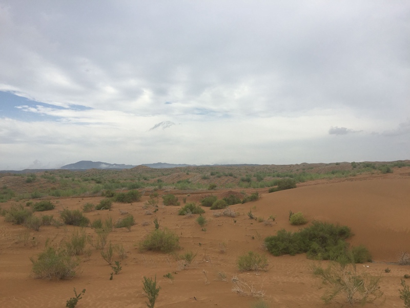 �v����ɳĮ�޾W(w��ng)������ݷ����ﲼ�M�[�d��ɳ��ֲ����