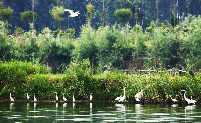 ͯԒ�ϼң���������Ԋ�����Ϙ���f����