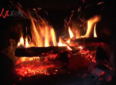 �t��t����~�ף�������ʳ���ρ�