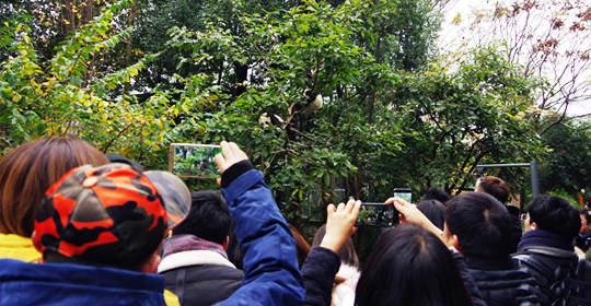 �@�����ӵ������ɶ����W(w��ng)�j(lu��)���ˁ��c(di��n)ٝ